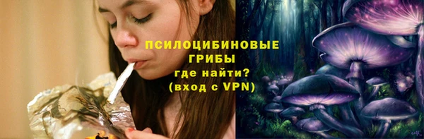 шишки Балахна