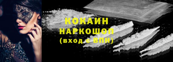 шишки Балахна